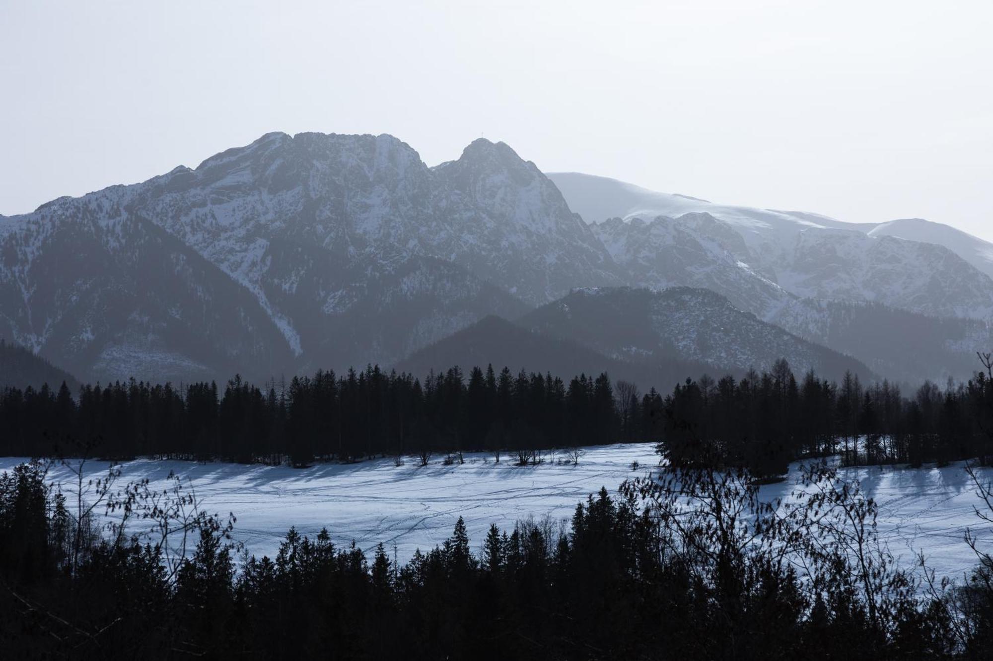 Apartamenty Bachledzki Wierch Zakopane Room photo